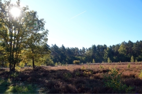 Photo credits: Dieter Lindenblatt & Peter Meulyzer.